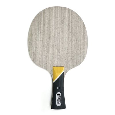 Sauer & Troger Dominate ALL - Allround