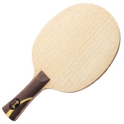 DHS Hurricane Long 2