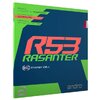 Andro: andro RASANTER R53