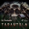 Dr.Neubauer: Dr Neubauer Tarantula