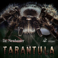 Dr Neubauer Tarantula