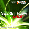 Sauer & Troger: Sauer & Troger Secret Flow Chop - Pimples inside